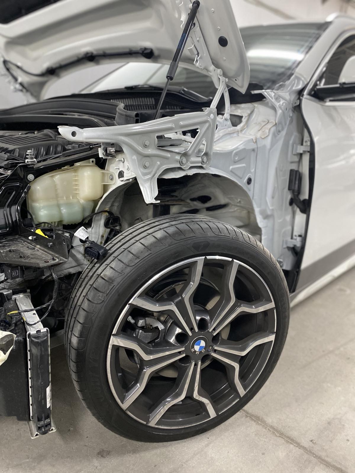 bmw_stripped